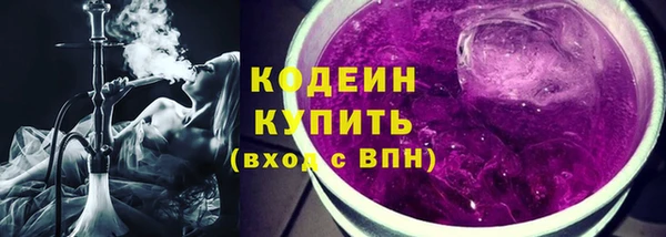 дмт Бородино