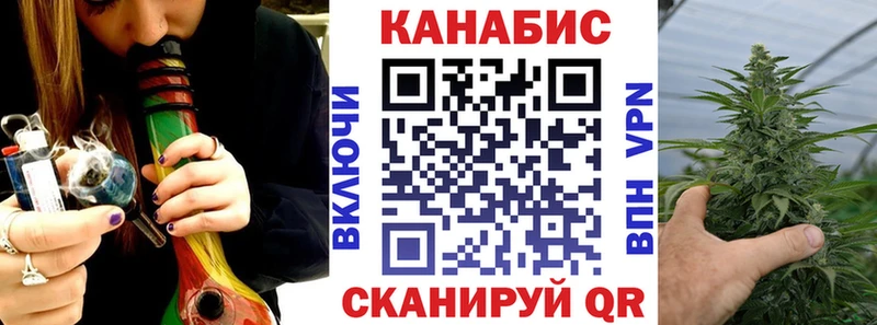 Бошки Шишки планчик  mega tor  Выборг 